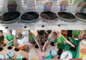 Kolaż zdjęć dzieci z grupy Stokrotki podczas zakładania wiosennego ogródka z okazji pierwszego dnia Wiosny