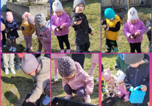 Kolaż zdjęć dzieci przygotowujących doniczki z ziemią do sadzenia roślin