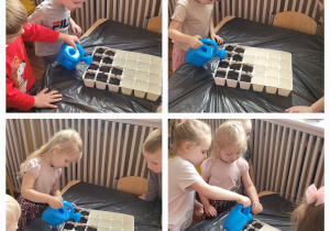 Dzieci z grupy słoneczka stoją przy stoliku i podlewają zasiane ziarenka.