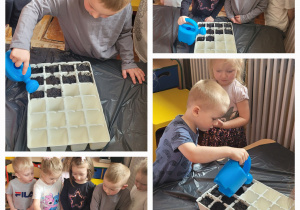 Dzieci z grupy słoneczka stoją przy stoliku i podlewają zasiane ziarenka.