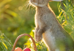 Na zdjęciu widzimy kartkę z motywem Świąt Wielkanocnych.