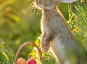 Warsztaty Wielkanocne - Odkrywcy