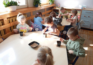 Na zdjęciu widzimy dzieci z grupy Odkrywcy podczas siania owsa.