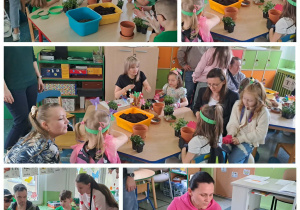 Dzieci wraz z rodzicami uczestniczą w warsztatach wiosennych, sadząc i ozdabiając roślinki.