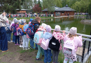Dzieci z grupy Odkrywców podczas pokazu karmienia foki