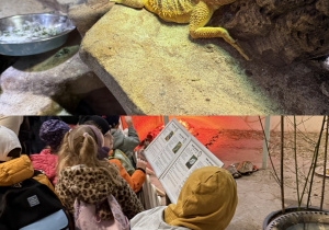 Kolaż przedstawia Smerfy zwiedzające ZOO i ptaszarnię