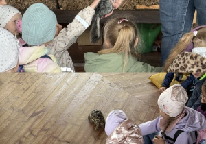 Kolaż przedstawia Smerfy i Odkrywców podczas zajęć edukacyjnych ze zwierzętami