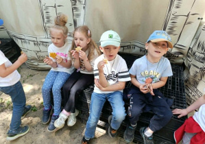 Dzieci z grupy „Misie” zajadają pyszne pianki, które wcześniej piekły na ognisku.