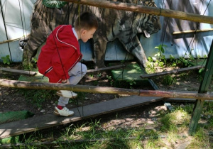 Chłopiec z grupy „Misie” pokonuje tor przeszkód.