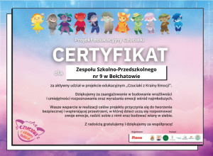 Czuciaki z krainy emocji - Podsumowanie