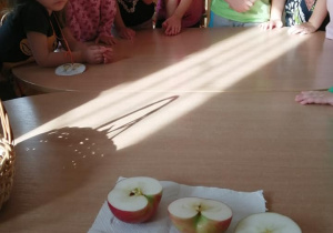 Dzieci przyglądają się gniazdom nasiennym w rozkrojonych jabłkach.