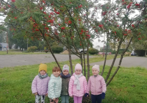 Piątka dziewczynek stojąca przy drzewie jarzębiny.