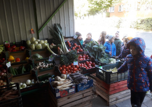 Grupa Żabek ogląda kolorowe, piękne warzywa na straganie targowiska miejskiego w Bełchatowie.