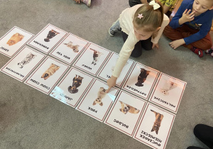 Dzieci siedzą na dywanie, na którym znajdują się obrazki przedstawiające różne rasy psów. Dziewczynka wskazuje jeden z nich.