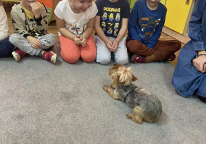 Dzieci siedzą na dywanie i bawią się z psem o imieniu „Pusia”.