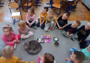 Dzieci z grupy Pszczółki gościły kota rasy Mine coon ( Majkun) o imieniu Karmel. Dzieci siedzą dookoła dywanu, na środku jest kot oraz karma dla kota i miseczki.