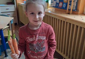 Chłopiec stoi przy stoliku i trzyma w ręce trzy marchewki.