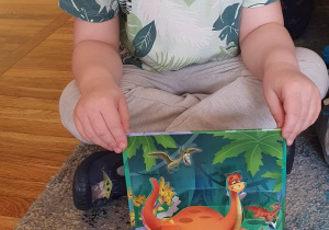 Chłopiec trzyma na kolanach książeczkę o dinozaurach, w której znajdują się rozkładane obrazki.