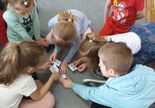 Dzieci układają wyraz podzielony na sylaby - drużyna pierwsza.