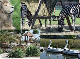 Wycieczka do Zoo w Borysewie
