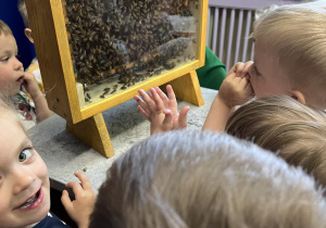 Dzieci obserwuja rój pszczół.
