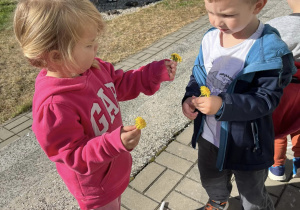 Chłopiec wręcza dziewczynce kwiatka.