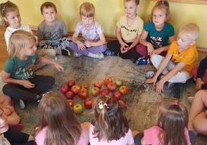 Dzieci siedzą na dywanie oglądają jabłka porównując ich wielkość, kształt, kolor, zapach.