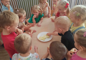 Dzieci z grupy Biedronki częstują się jabłuszkami ułożonymi na białym talerzu.