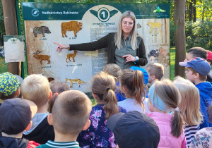 Dzieci z grupy Smerfy słuchają informacji przekazywanych przez panią przewodnik dotyczących zwierząt żyjących w polskich lasach.