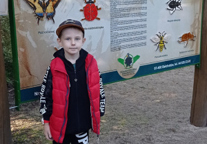 Chłopiec z grupy Pszczółki stoi na tle tablicy edukacyjnej dotyczącej owadów.