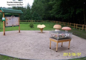 Obiekt edukacyjny Szkółki Leśnej Borowiny w Nadleśnictwie Bełchatów.
