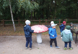 Dzieci oglądają okazy grzybów na ścieżce edukacyjnej.