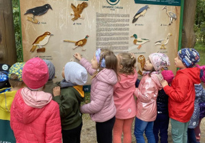 Dzieci poznają różne gatunki ptaków oraz mają możliwość posłuchać jakie wydają odgłosy.