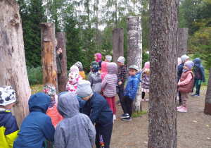 Dzieci z grupy Tropiciele i Liski poznają różne gatunki drzew na ścieżce edukacyjnej.