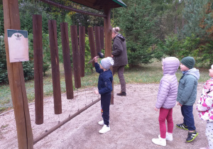Dzieci z grupy Tropiciele badają odgłosy różnej wielkości kłód drewna.