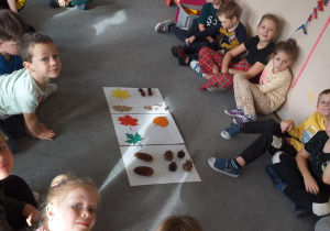Dzieci oglądają liście i owoce różnych drzew.