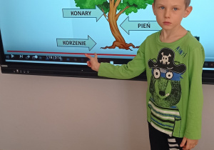 Wykorzystanie monitora podczas zajęć w Dniu Drzewa- chłopiec w zielonej bluzce wskazuje palcem na korzeń podczas wyświetlanej prezentacji dotyczącej budowy drzewa.